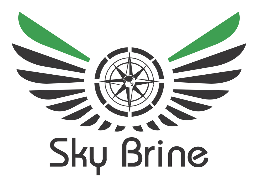 Skybrine logo